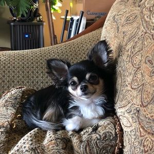 Meet your Posher, Whitney